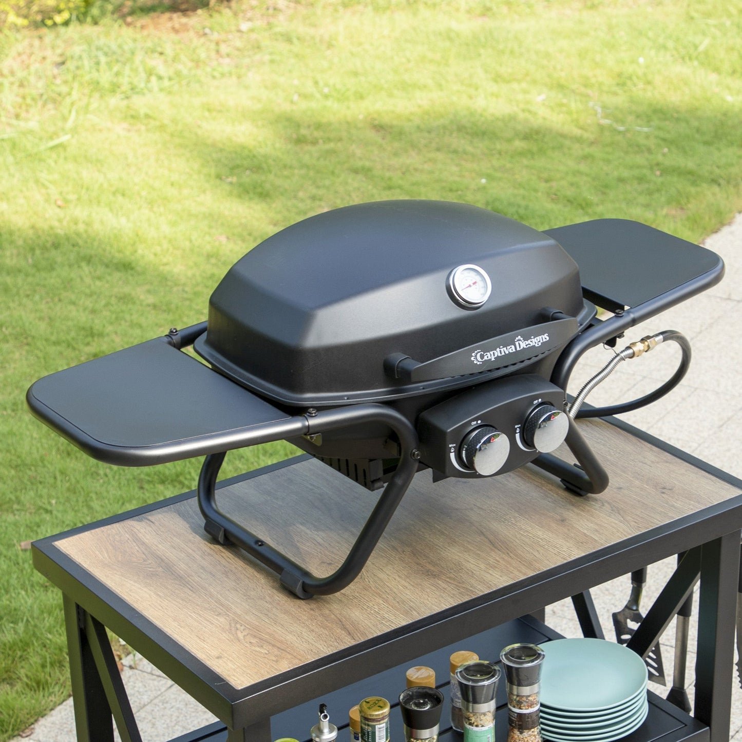 Sophia & William 2 Burner 15,000 BTU Portable Propane Gas Grill