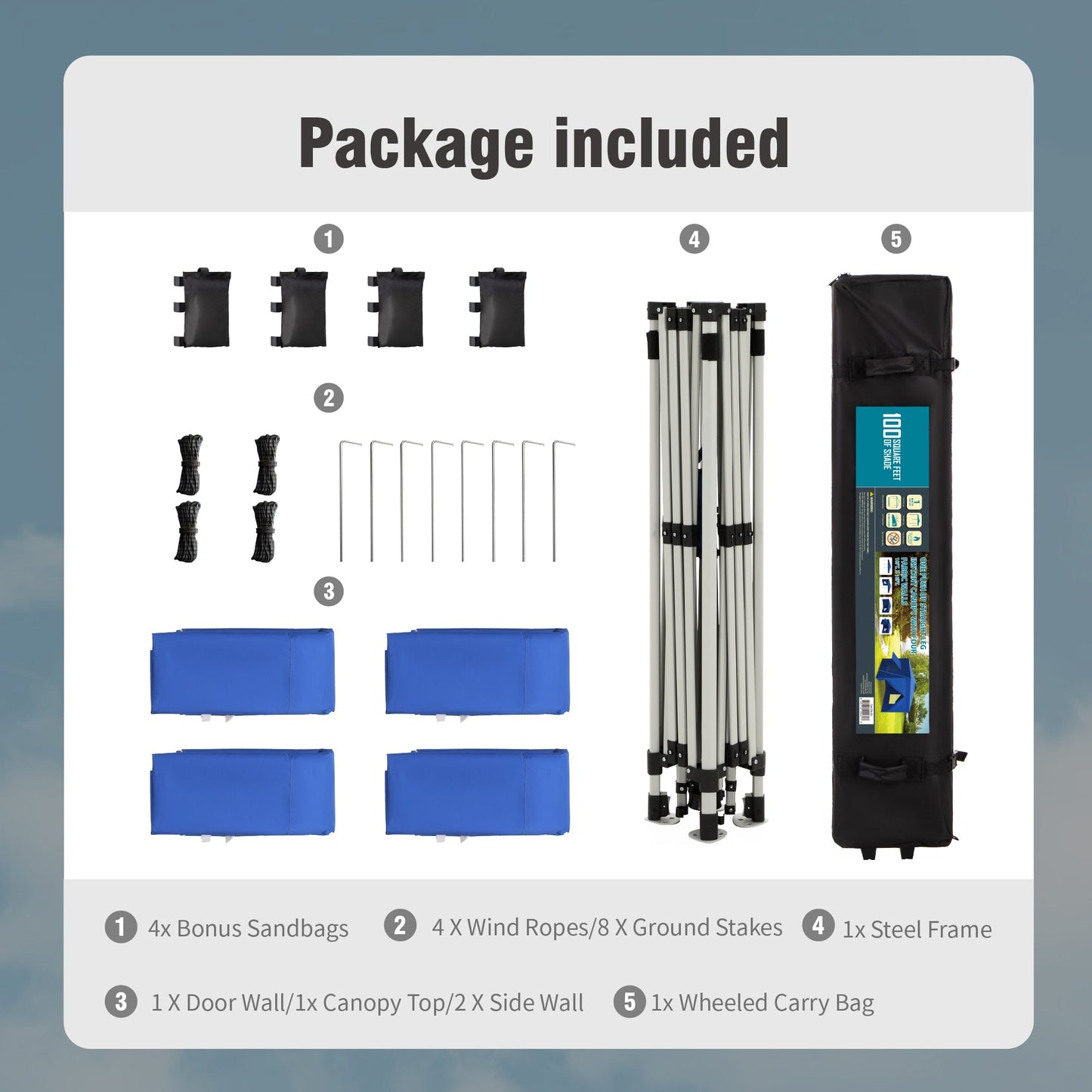 Alpha Joy 10'x 10' Instant Canopy Outdoor Ez Up Outdoor Canopy Shelter Tent with 4 Side Walls, Blue