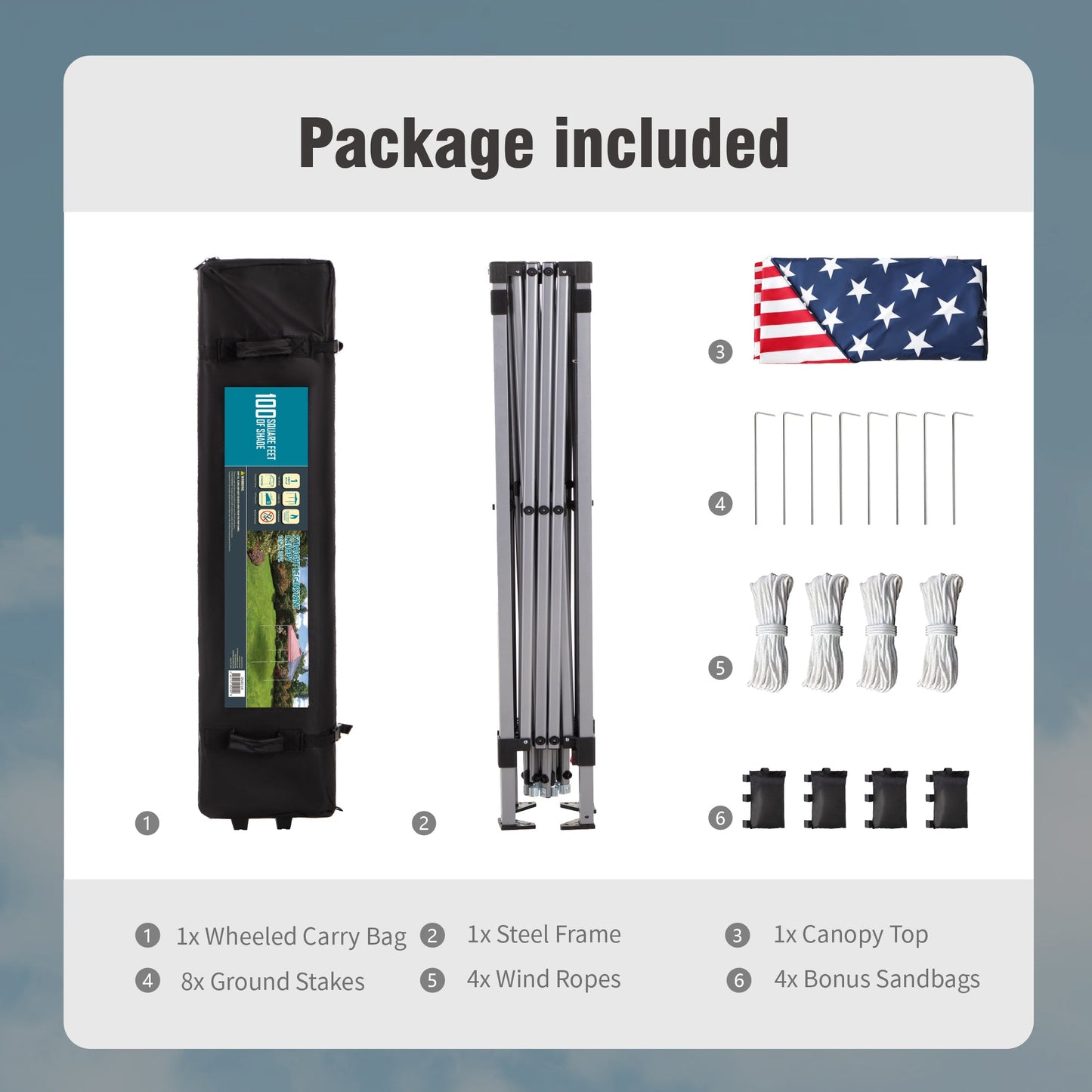 10'x 10' Pop up Canopy Tent Outdoor Event Instant Tent with Roller Bag