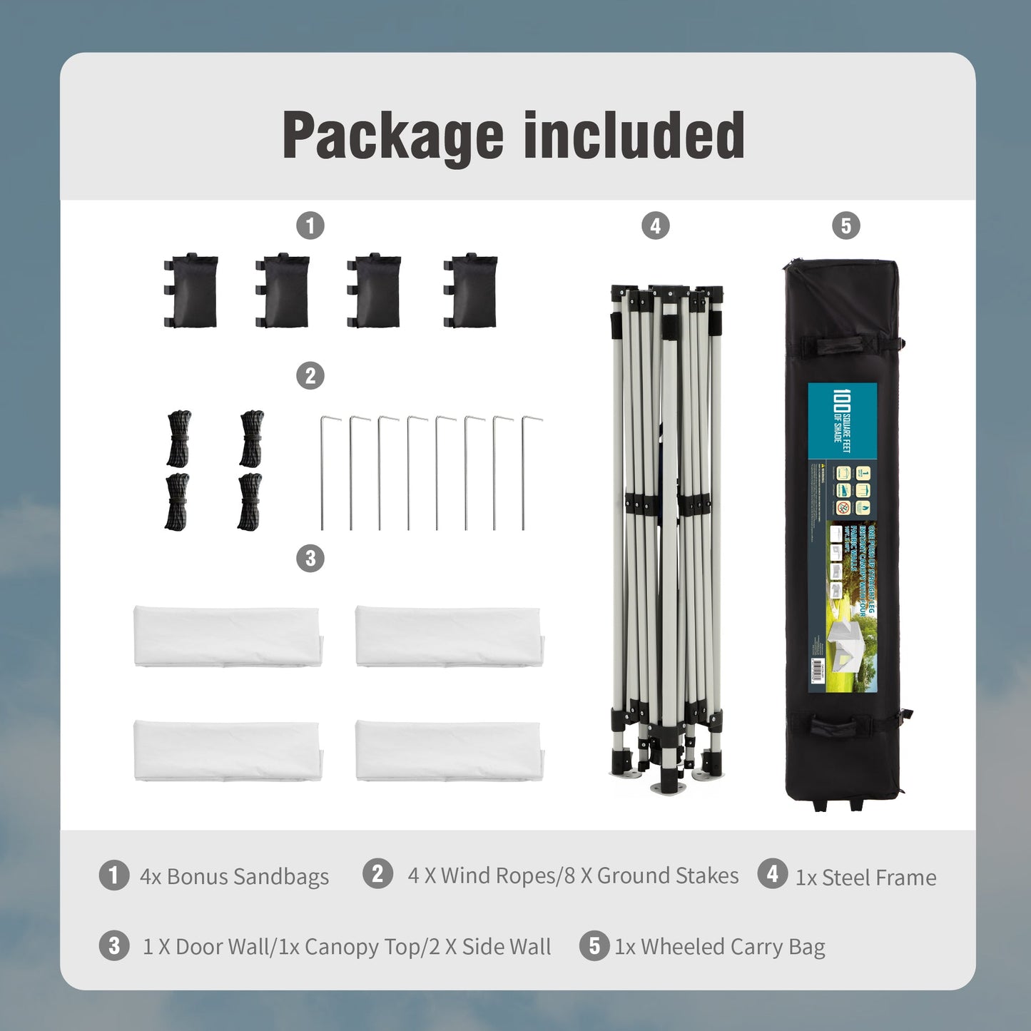 Alpha Joy 10'x 10' Instant Canopy Outdoor Ez Up Outdoor Canopy Shelter Tent with 4 Side Walls, White