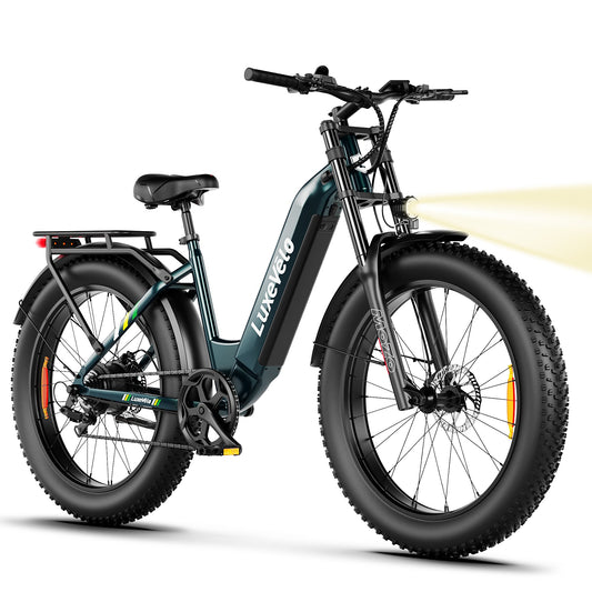 Alpha Joy 26" Rated 500W Peak 1000W E-Bike, 26" Fat Tire Electric Mountain Bike, 48V Ebike for Adults with LED Headlight UL2849