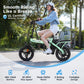 Alpha Joy Foldable Electric Bike for Adults 14", Rated 350W Peak 500W Ebike 48V 13AH UL2849