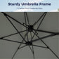 Alpha Joy 12x9ft Outdoor Patio Umbrella Large Rectangle Offset Cantilever Double Umbrella with 360¡ãRotation, Charcoal Gray