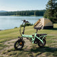 Alpha Joy Foldable Electric Bike for Adults 14", Rated 350W Peak 500W Ebike 48V 13AH UL2849
